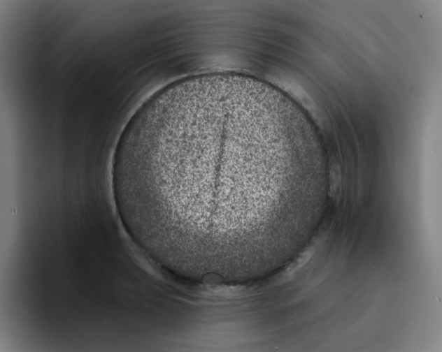 X0000094941039200712271609