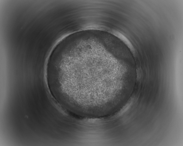 X0000094941043200712271609