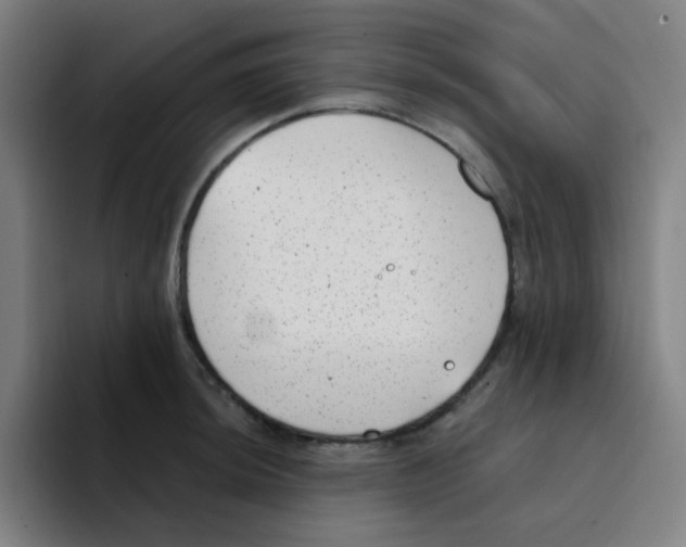 X0000094941044200712271609