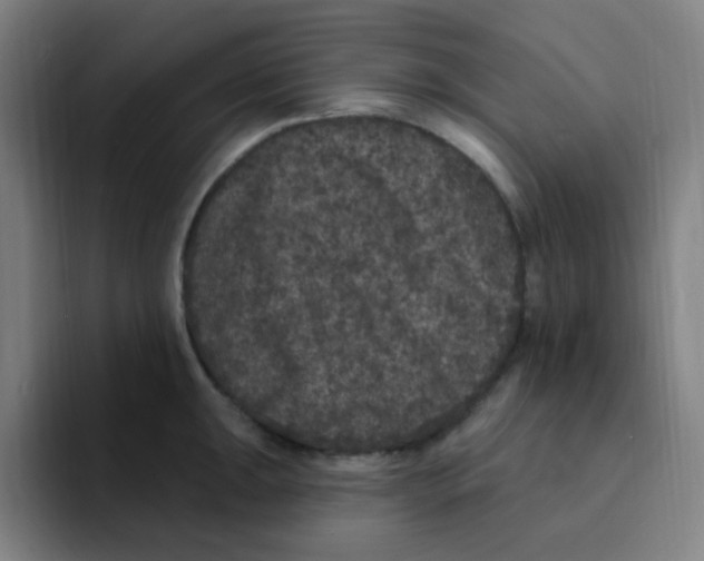 X0000094941047200712271609