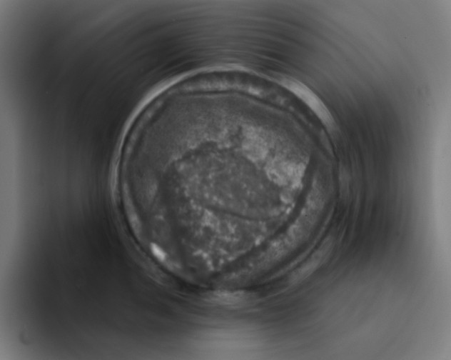 X0000094941052200712271609