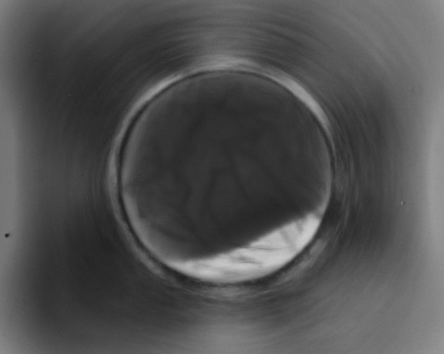 X0000094941053200712271609