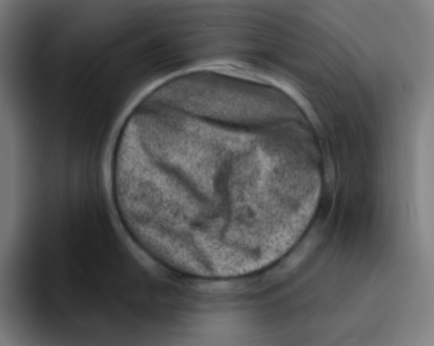X0000094941054200712271609