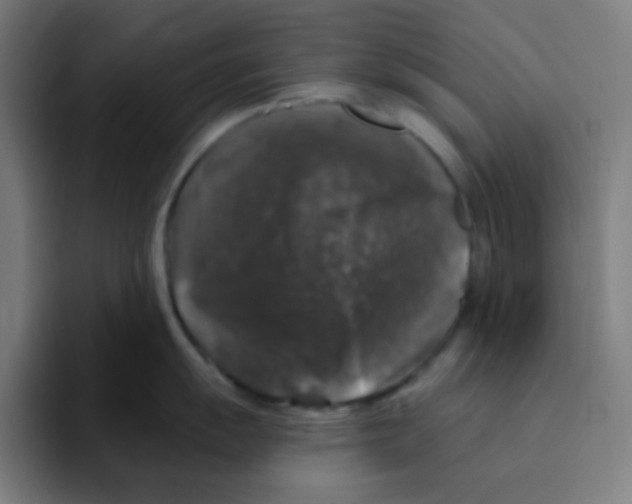 X0000094941055200712271609