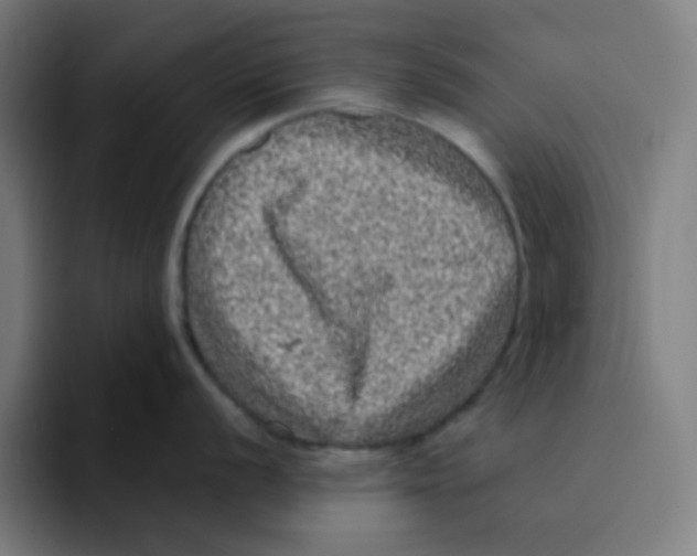 X0000094941056200712271609