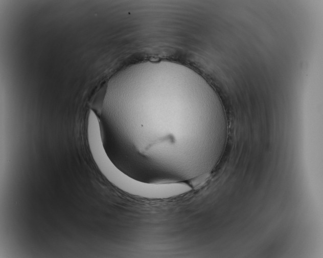 X0000094941058200712271608