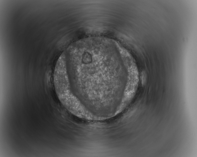 X0000094941059200712271608
