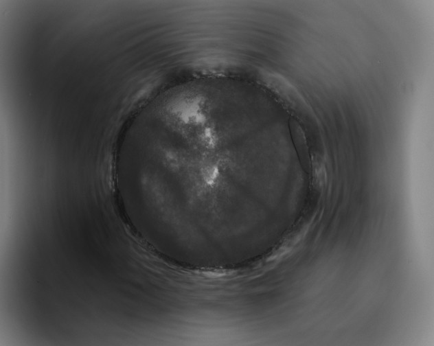 X0000094941060200712271608