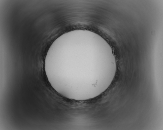 X0000094941061200712271608