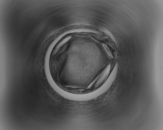 X0000094941064200712271608