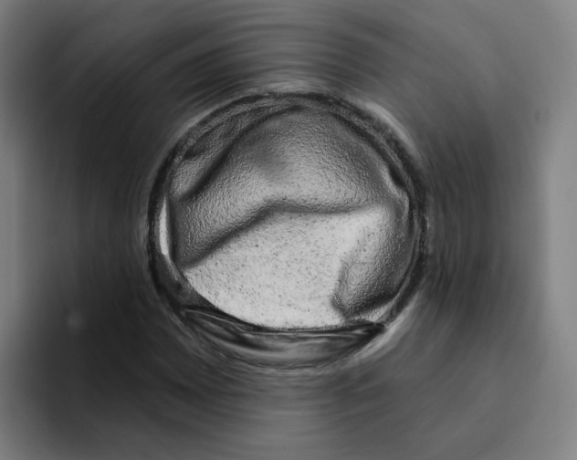X0000094941065200712271608