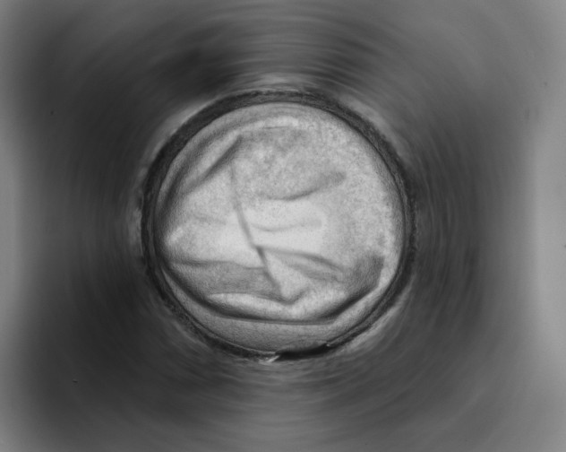 X0000094941066200712271608