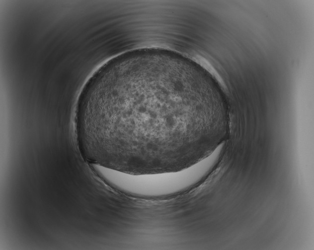 X0000094941068200712271608