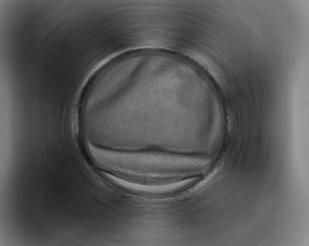 X0000094941069200712271608