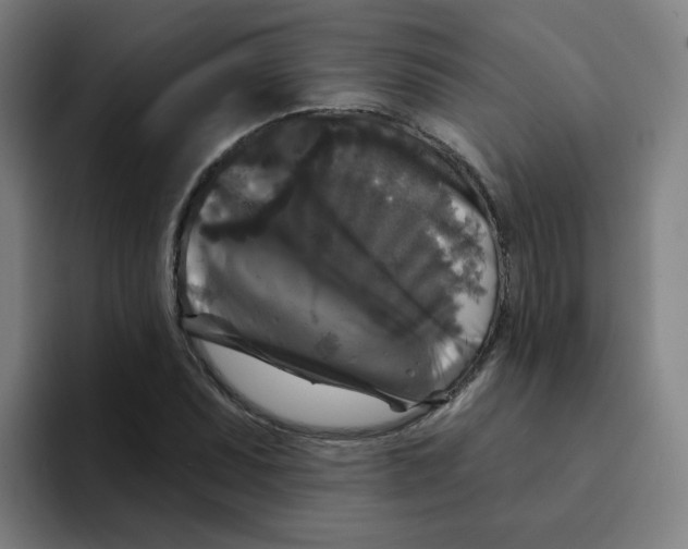 X0000094941071200712271608