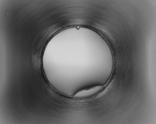 X0000094941073200712271608