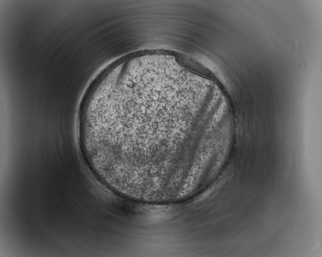 X0000094941076200712271608