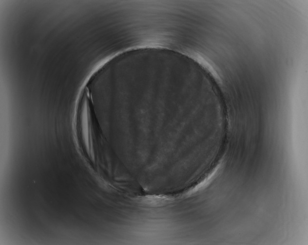 X0000094941077200712271608