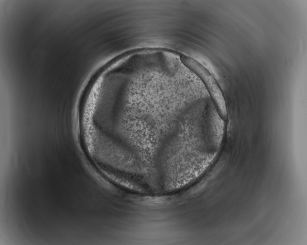X0000094941080200712271608