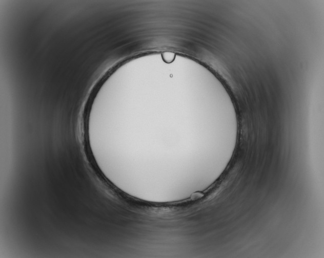 X0000094941082200712271608