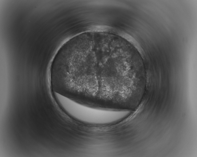 X0000094941083200712271608