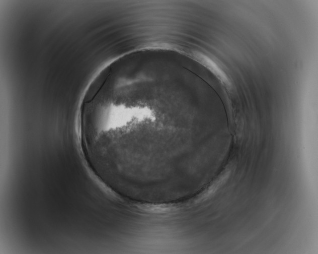 X0000094941084200712271608