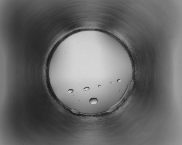 X0000094941085200712271608
