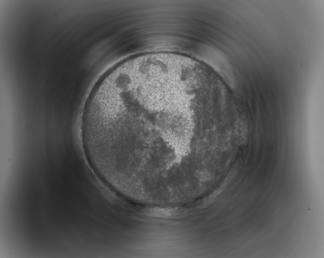 X0000094941086200712271608