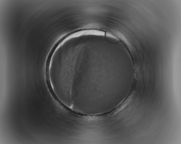 X0000094941087200712271608