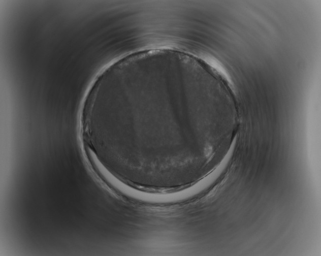 X0000094941088200712271608