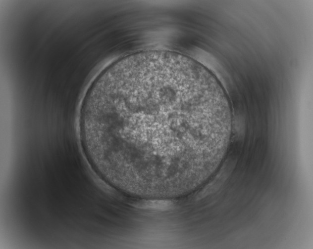 X0000094941090200712271608