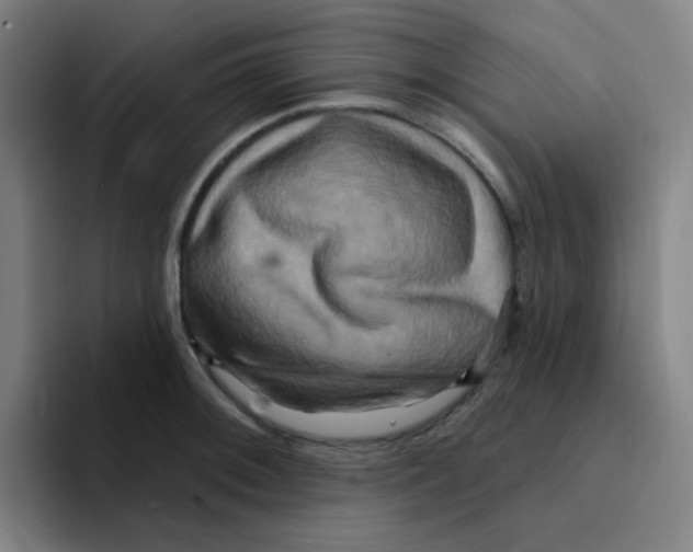 X0000094941092200712271608