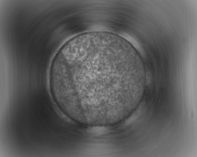 X0000094941094200712271608