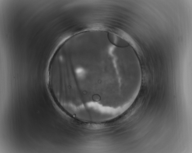 X0000094941095200712271608