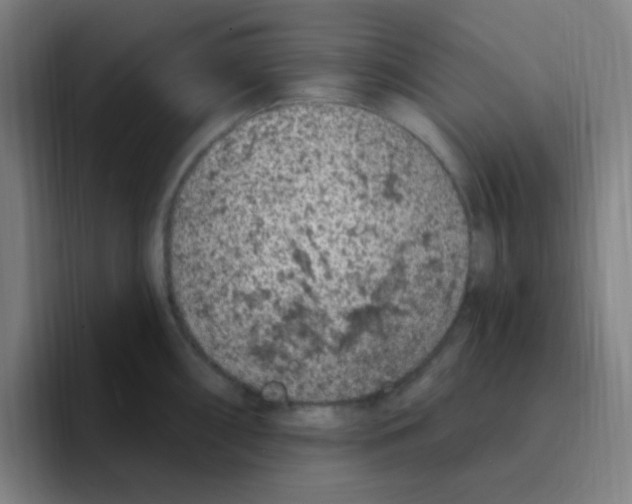 X0000094941098200712271608