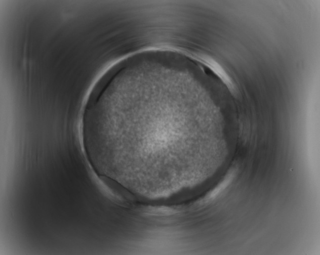 X0000094941100200712271608