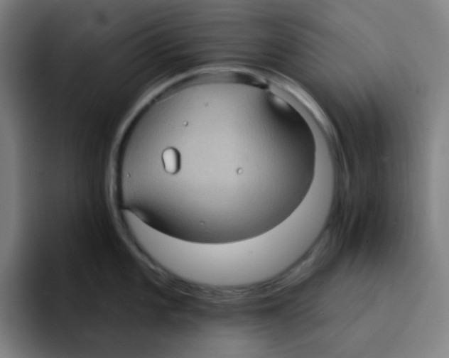 X0000094941101200712271608
