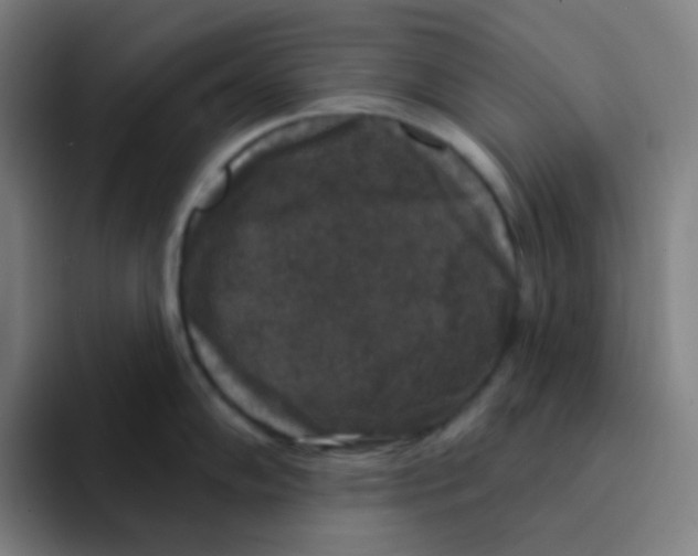 X0000094941102200712271608