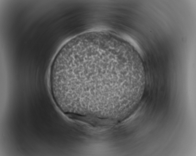 X0000094941103200712271608