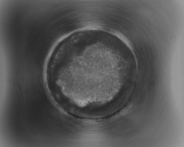 X0000094941104200712271608