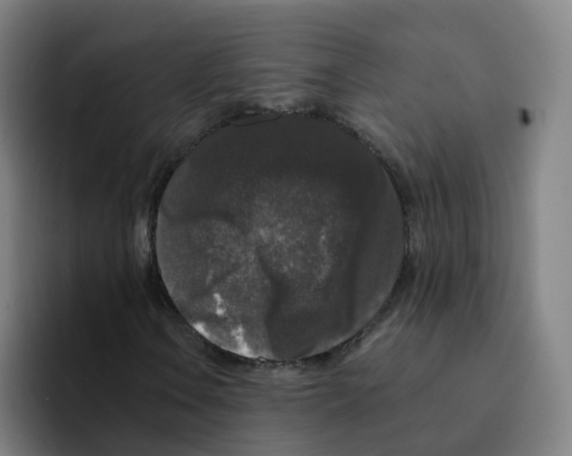 X0000094941106200712271607