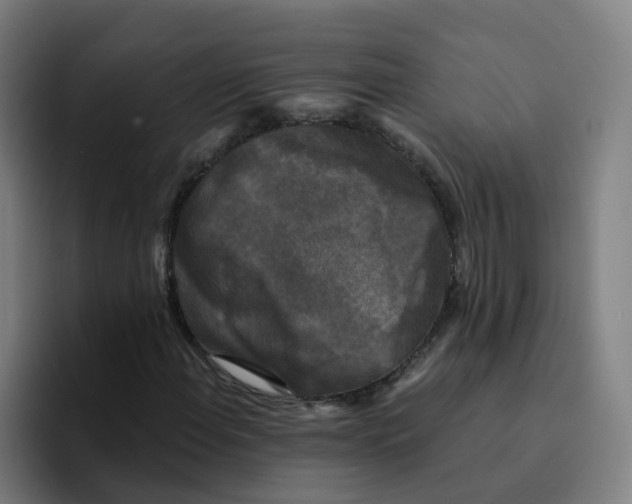 X0000094941108200712271607