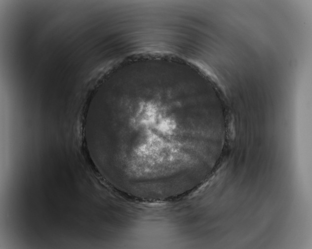 X0000094941110200712271607