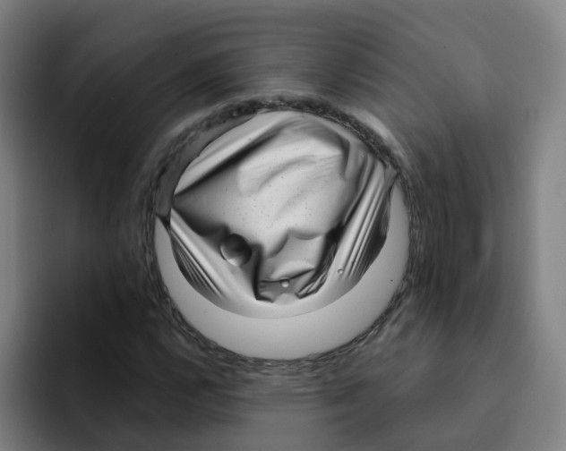 X0000094941112200712271607
