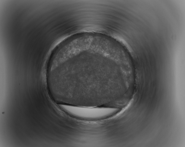 X0000094941114200712271607