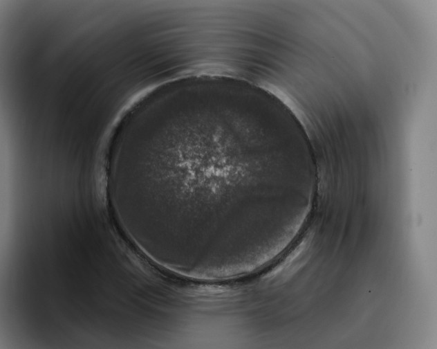 X0000094941115200712271607
