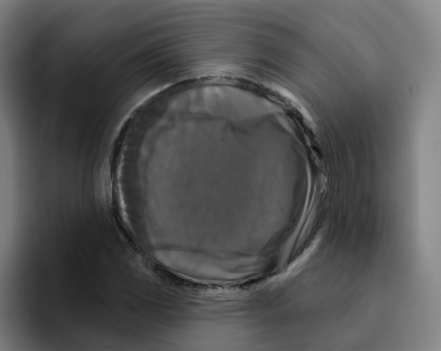 X0000094941117200712271607