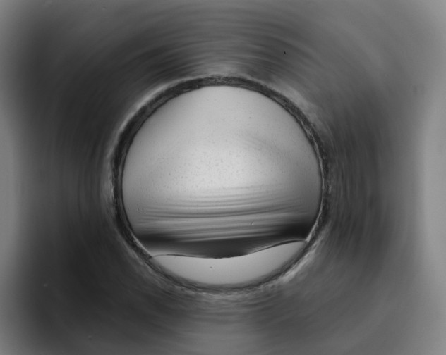 X0000094941118200712271607