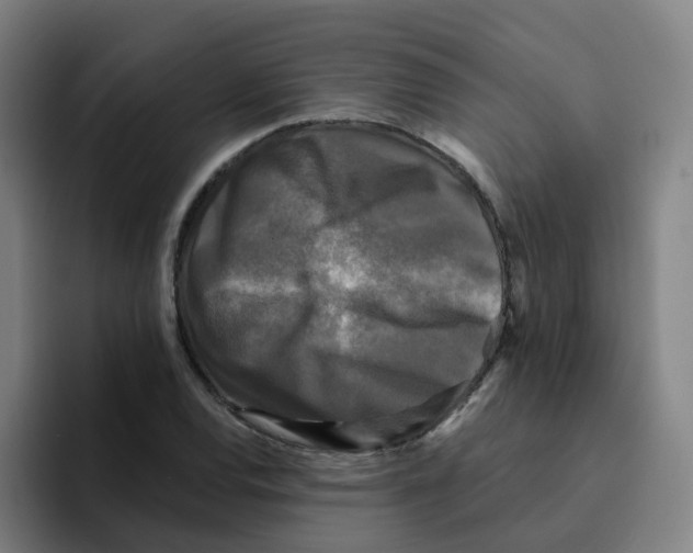 X0000094941120200712271607