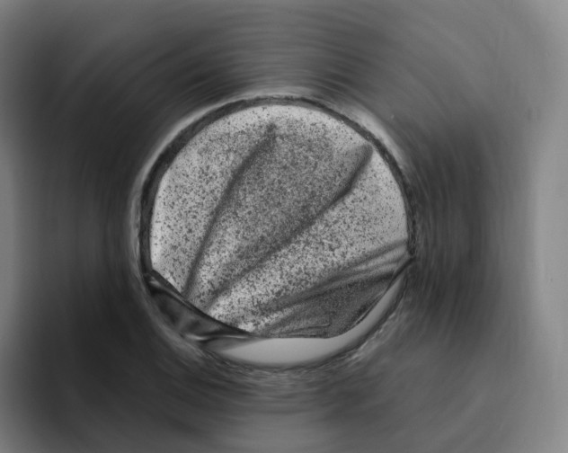 X0000094941124200712271607